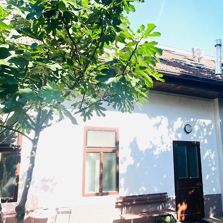Jokai Apartman Komarno Bagian luar foto