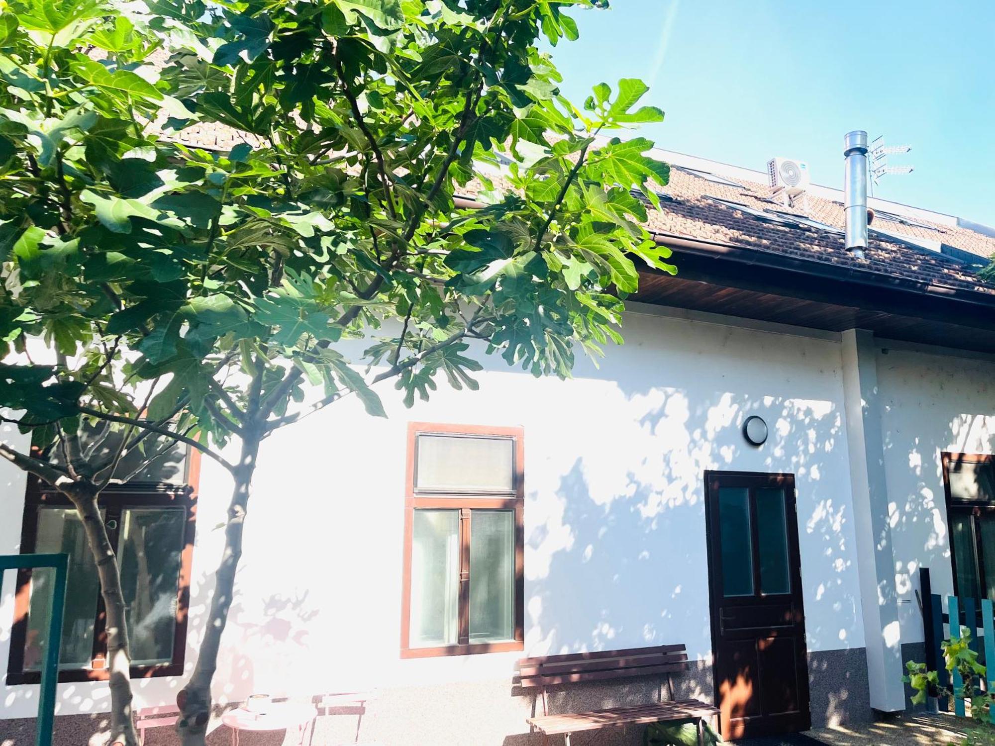 Jokai Apartman Komarno Bagian luar foto